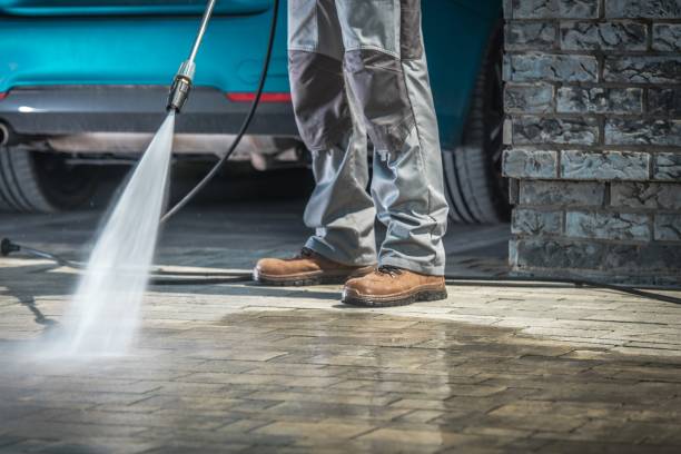 Best Driveway Pressure Washing  in Eagle Grove, IA