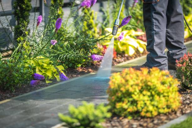 Reliable Eagle Grove, IA Pressure Washing Services Solutions